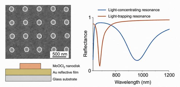 Two optical functions realized in a single MoOCl₂ nanostructure.