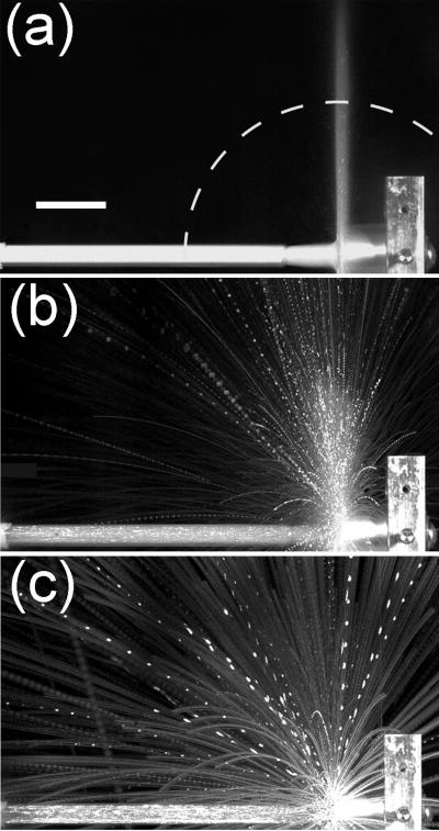 Granular-jet Fireworks