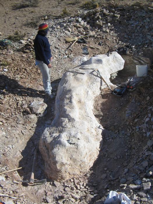 Fossil extraction