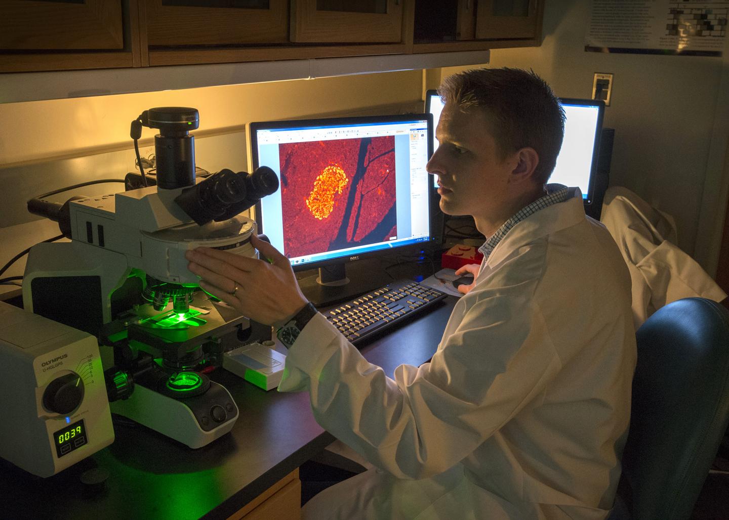 Diabetic Student Research
