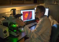 Diabetic Student Research