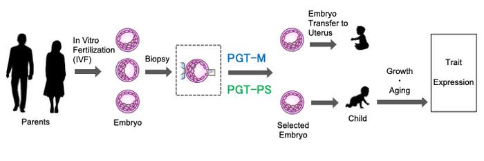 A schematic illustration of how preimplantation genetic testing after IVF allows parents to select embryos with desired traits.