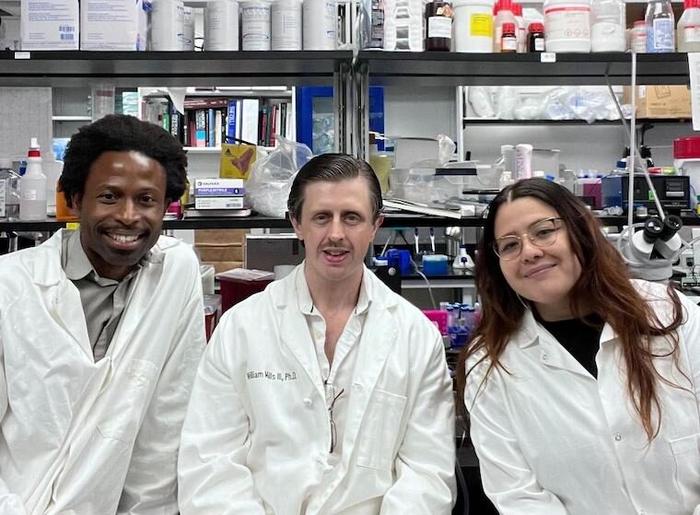 Discovery could battle Alzheimer’s by boosting blood flow to brain