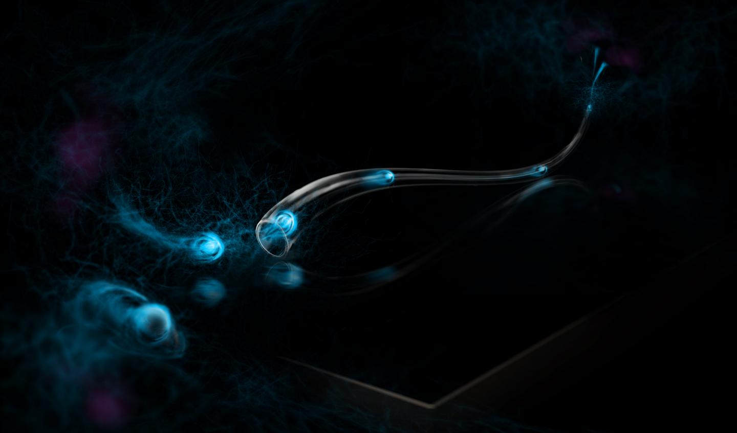 Quantum-Limited Heat Conduction