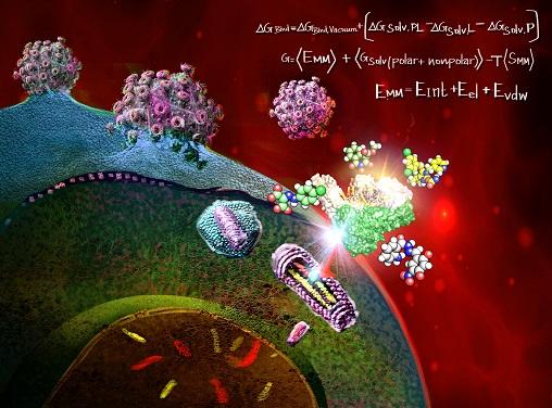 HIV Virus Copying Itself