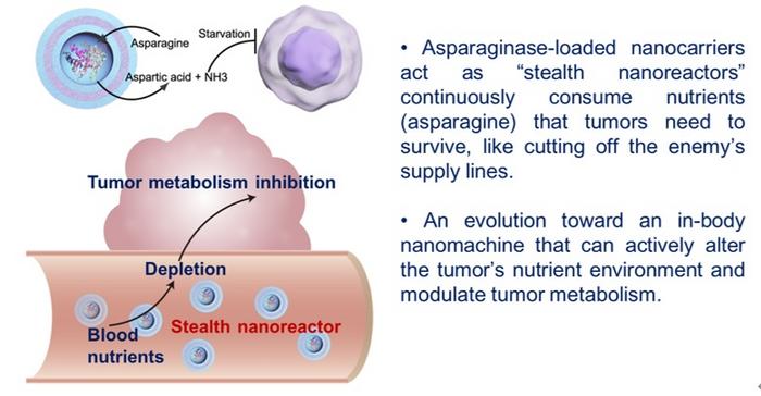 In-body Nanomachine that Starves Cancer
