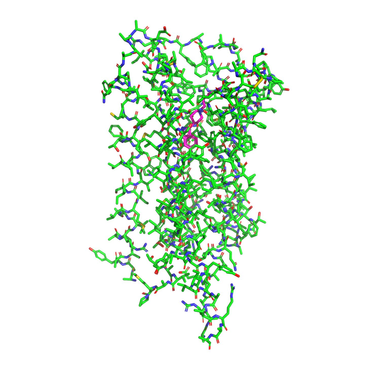 Dopamine 2 Receptor