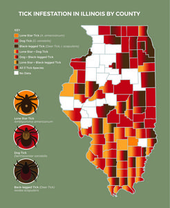Map of Illinois Tick Incidence, 2018-2022