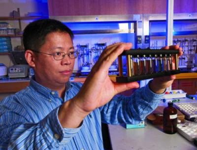 Younan Xia, Washington University in St. Louis