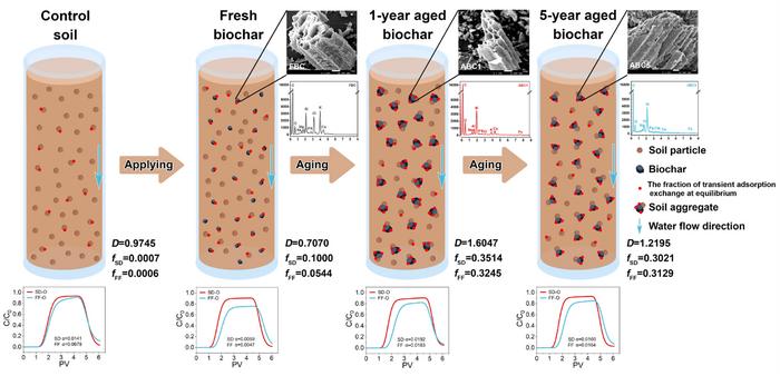 Does biochar field aging reduce the kinetic retention for weakly hydrophobic antibiotics in purple soil?