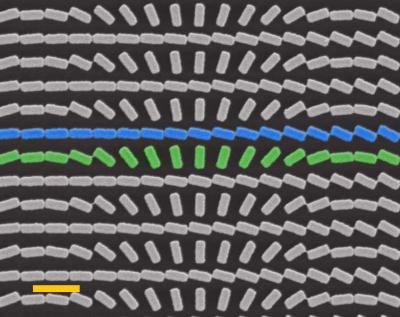 SEM Image of Multispectral Chiral (MCHL)
