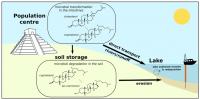 How Fecal Stanol Molecules Are Transported to Lake Sediments