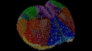 A biophysically detailed simulation of the whole mouse cortex neuron by neuron, with sub-cellular resolution