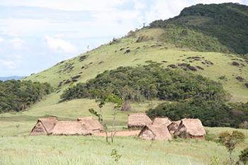 Yanomami Village