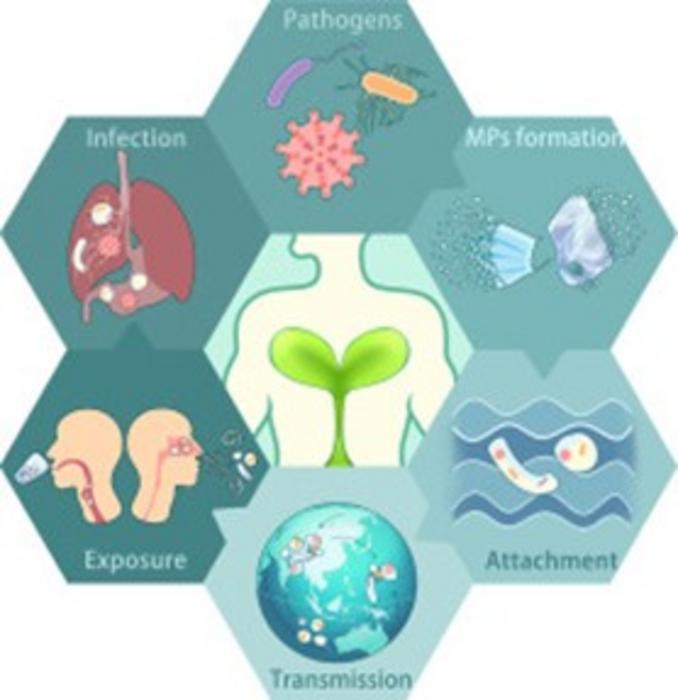 Graphical abstract.