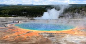 Life plausibly formed in pools or lakes of water on early Earth