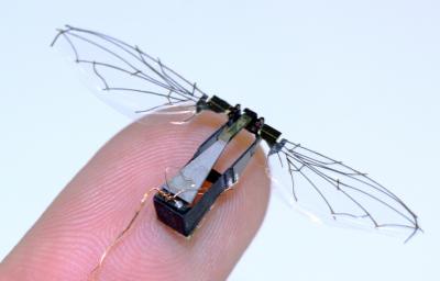 Tiny MAVs May Someday Explore and Detect Environmental Hazards