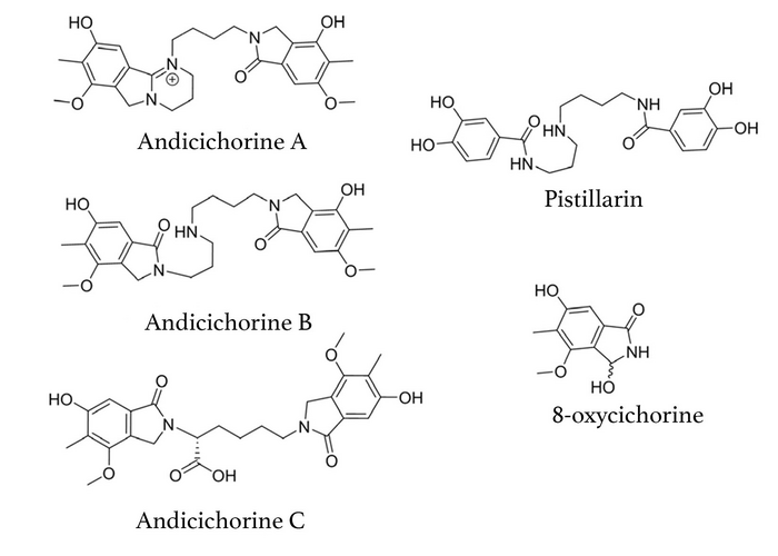 Research illustration