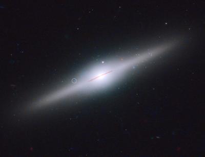Star Cluster Surrounds Wayward Black Hole in Cannibal Galaxy Eso 243-49 