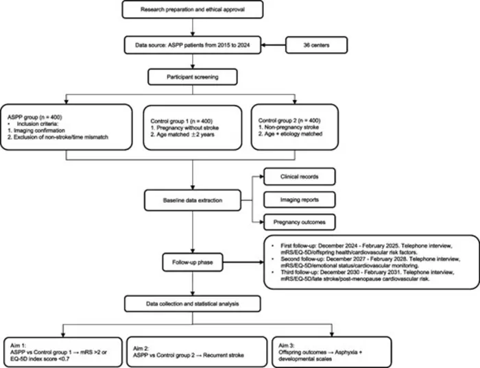 Comprehensive study protocol to investigate pregnancy-related stroke