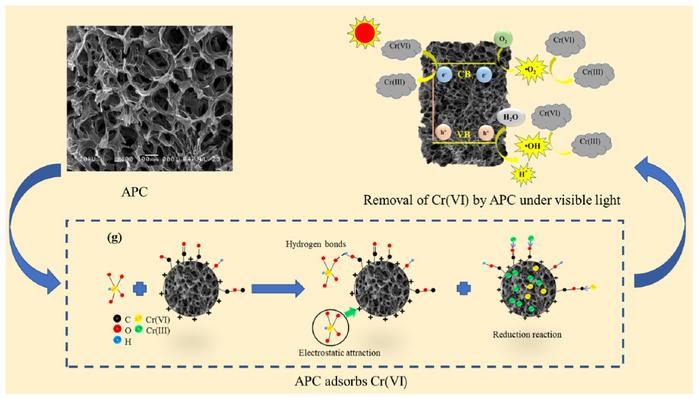 Honeycomb-structured biochar from waste pomelo peel for synergistic adsorptive and photocatalytic removal of Cr(VI)