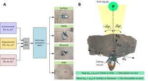 Fig. 1