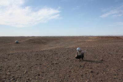Black Glass in New Martian Meteorite (11 of 12)