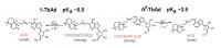 Acid -- Base Equilibrium of 1-Tbad