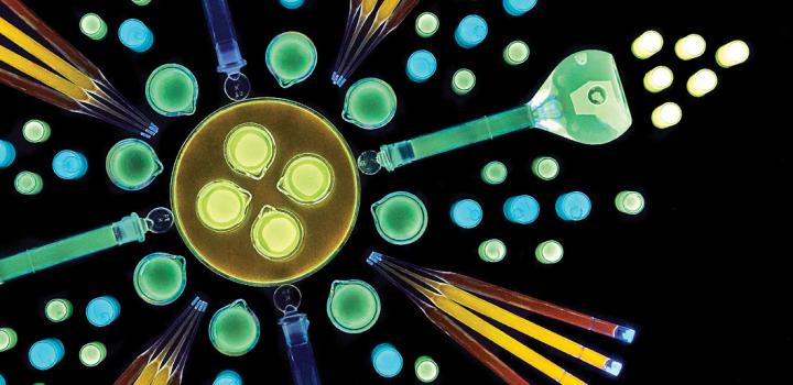 Quantum Dots by Nature