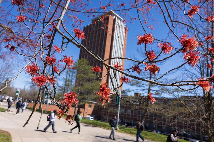 Binghamton University Campus