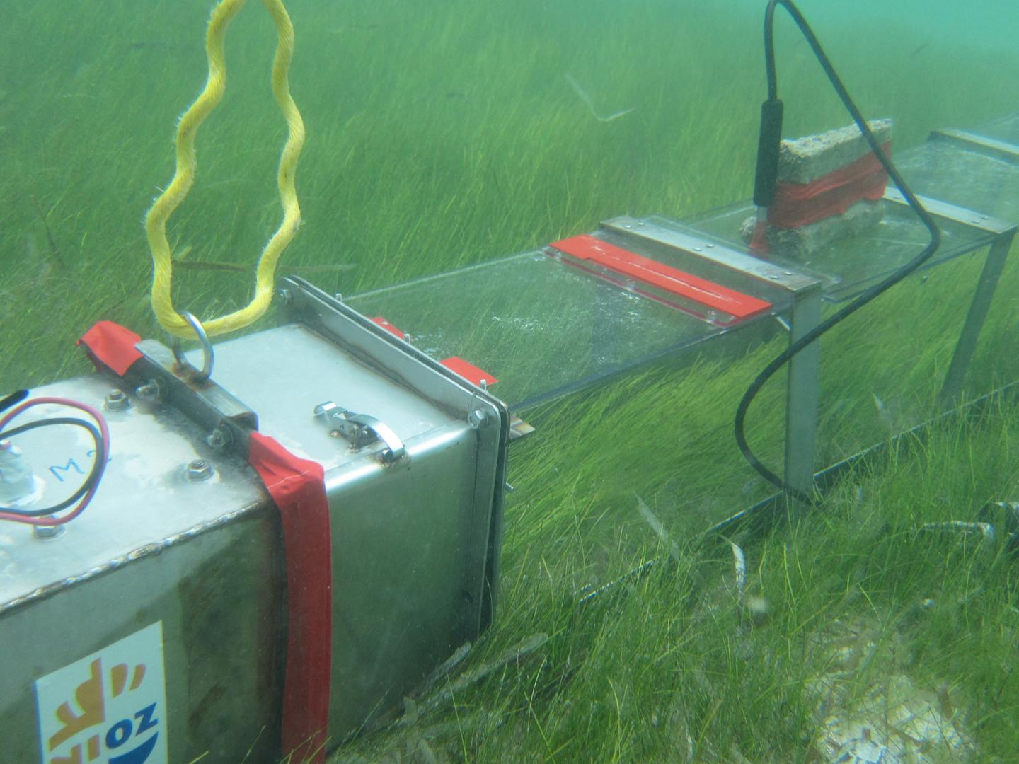 Portable flume