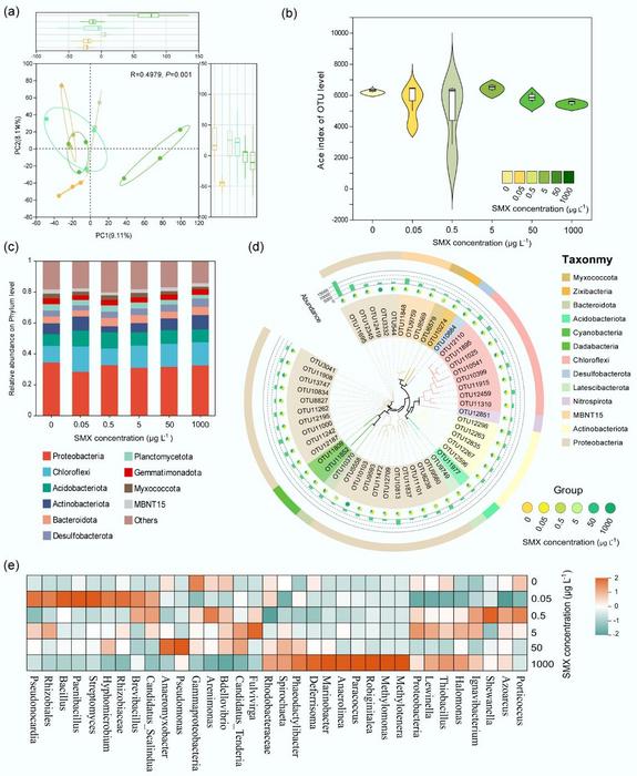 Figure 3. SMX-driven shifts in sediment bacterial communities.