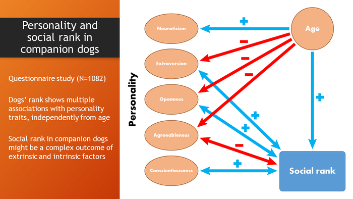 Graphical abstract