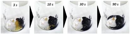 Methylammonium Polyiodides