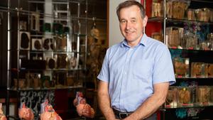 Professor Julian Pation: Suppressing pFL neurons may have a therapeutic effect on high blood pressure.