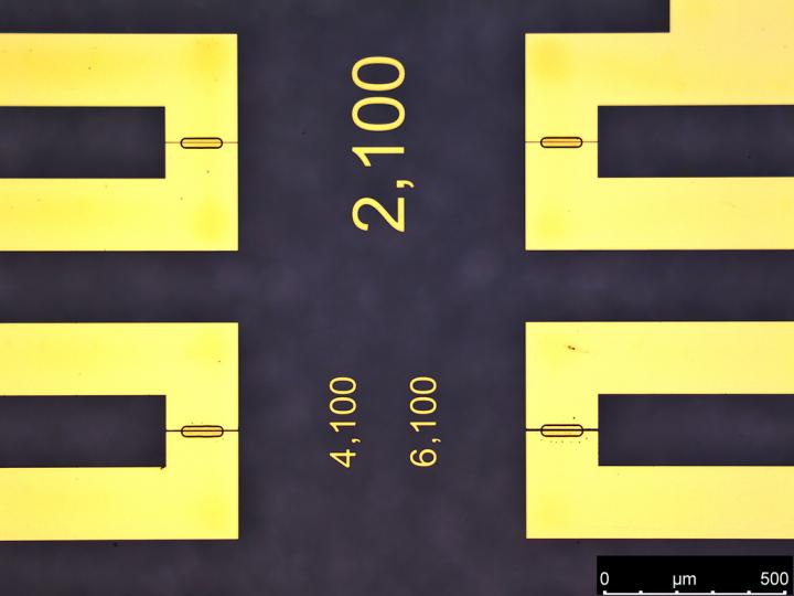 Biotransistors