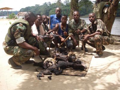 Confiscated Meat