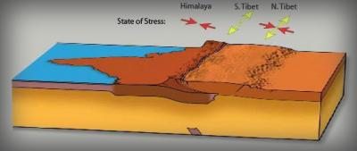 Contrasts in Tectonic Style