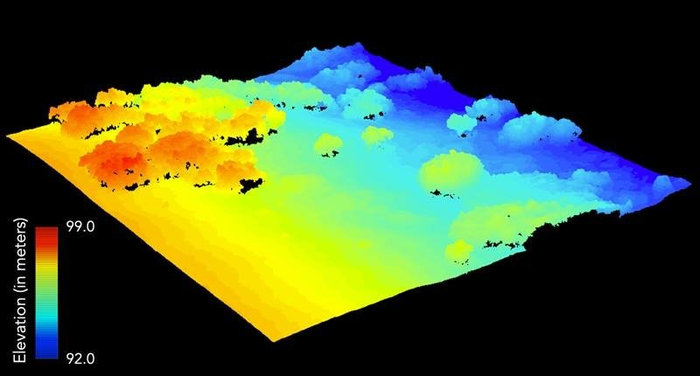 Drone Flights Give Scientists Better Data on Vegetation in the Arctic Tundra