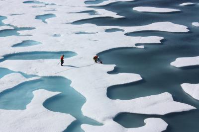 Melt Ponds
