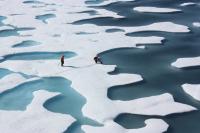 Melt Ponds