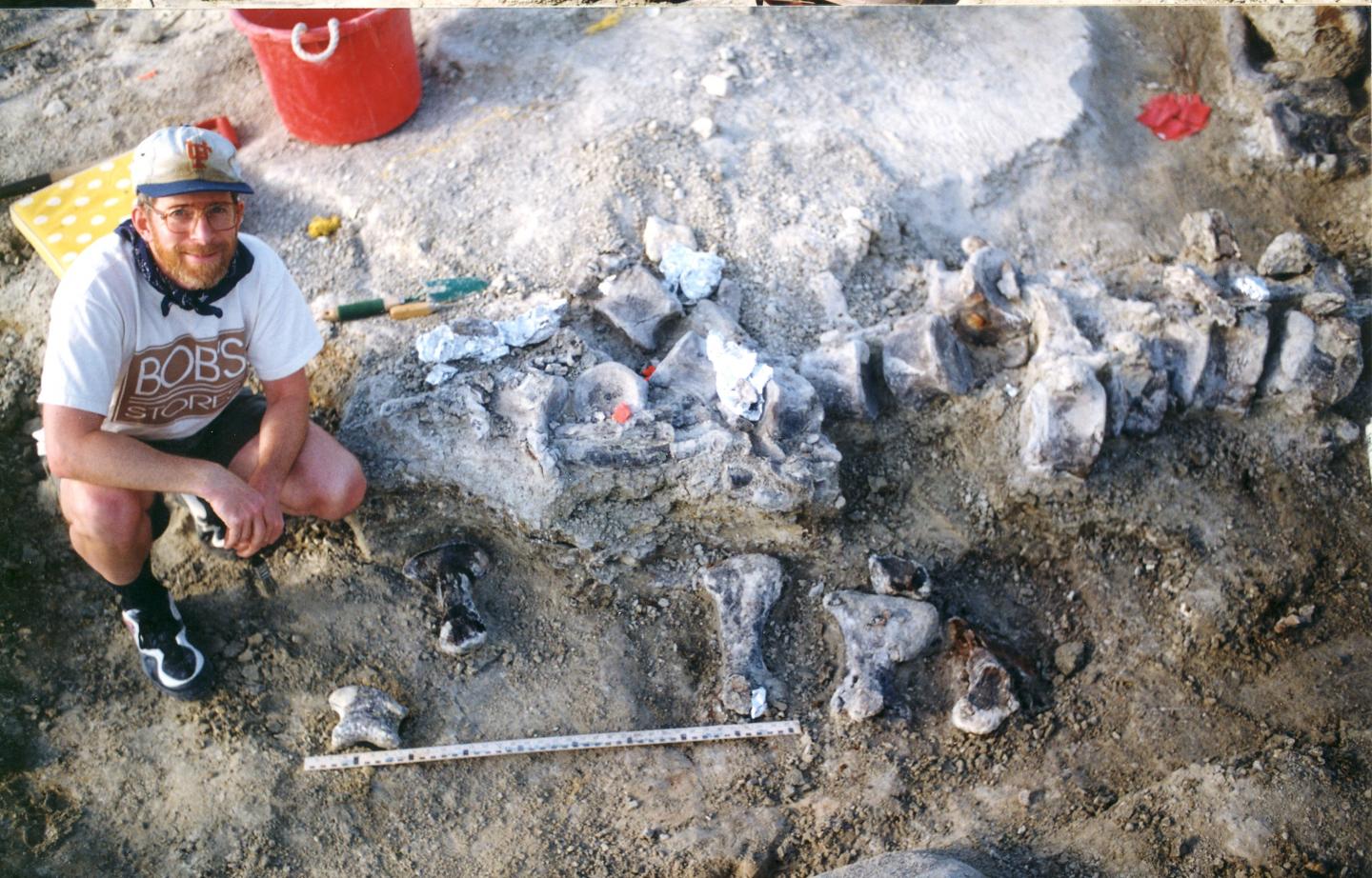 <i>Brachiosaur</i> Foot Bones
