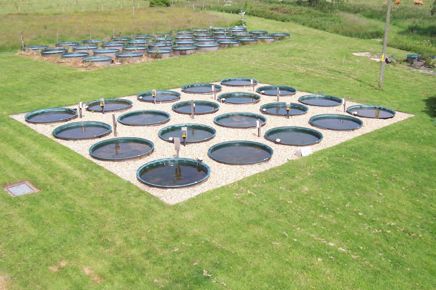 Testing Ponds