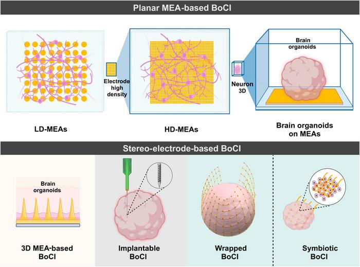 Diﬀerent types of brain-on-a-chip interfaces (BoCIs)
