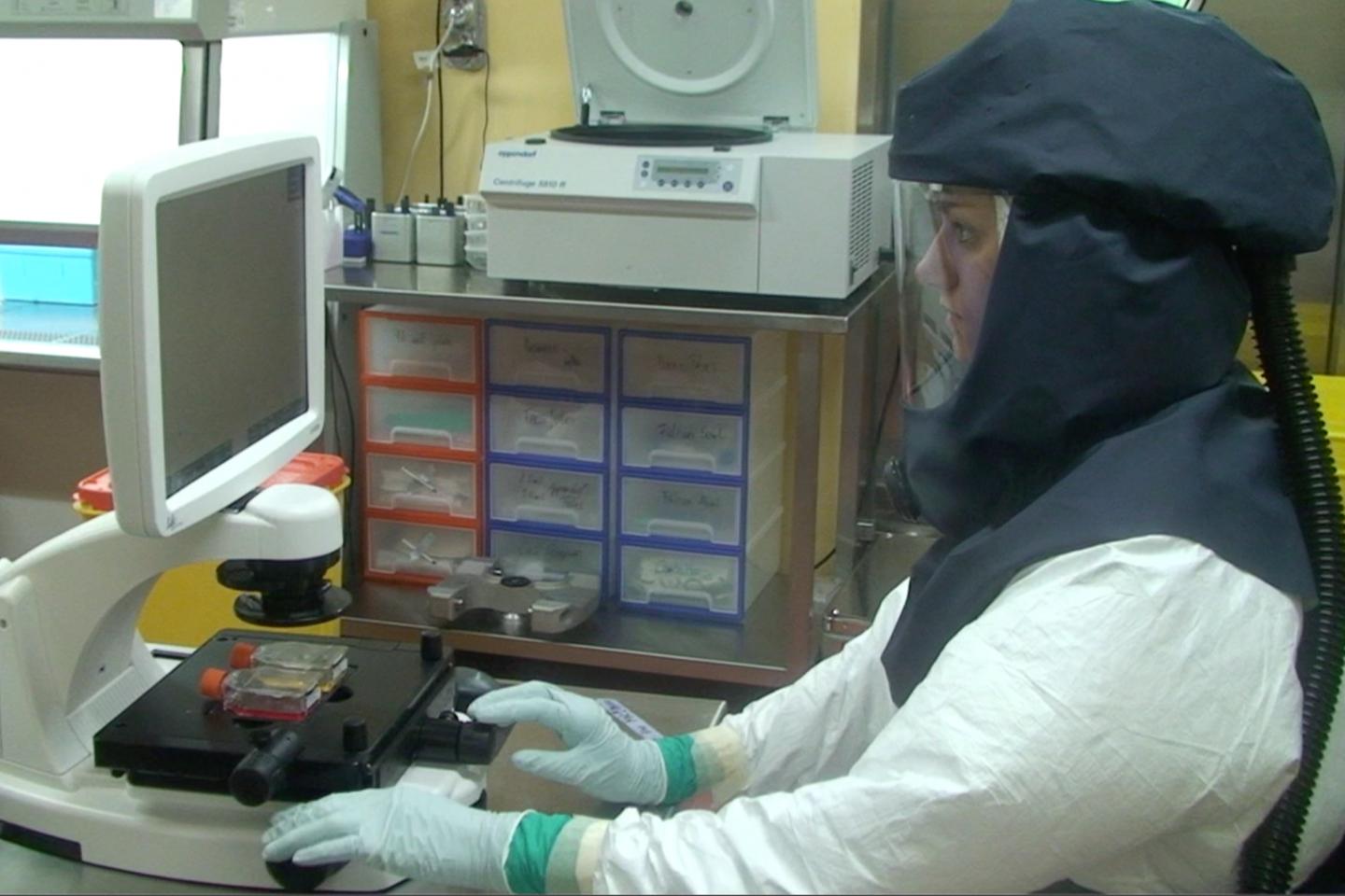 Institute of Virology and Immunology