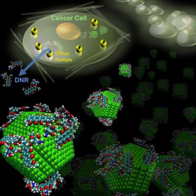 Nanodiamond-Mediated Delivery of Daunorubicin