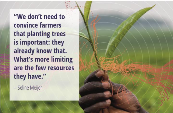 Quote Image