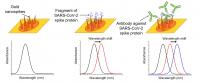 Shifts in the wavelength of light absorbed by the nanospikes