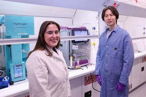 The Researchers