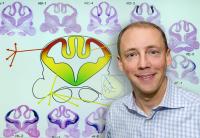 Axel Visel, DOE/Lawrence Berkeley National Laboratory